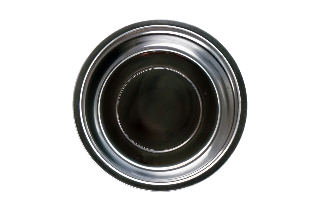 Stainless steel dish