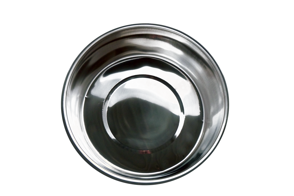 Stainless steel dish