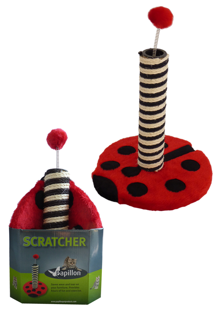Cat scratcher ladybird in promobox