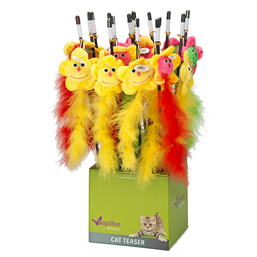 Cat teaser sunflower with chicken feathers