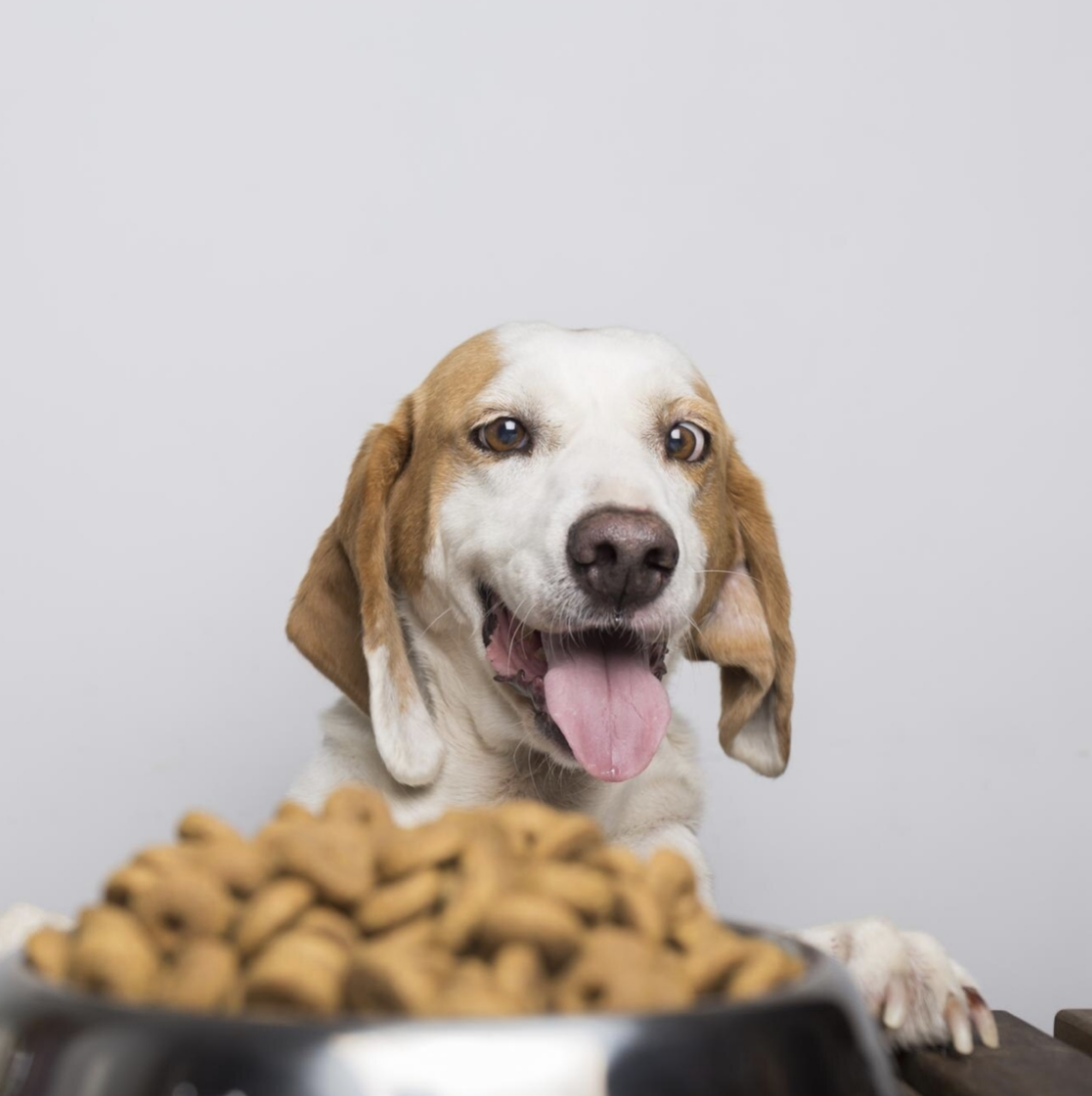 Food/drink bowls